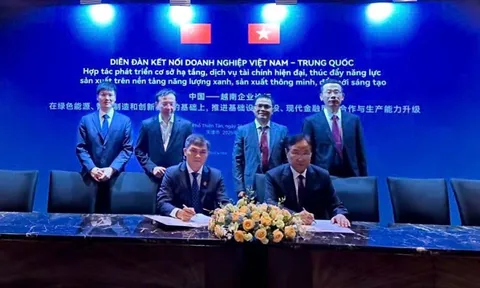 PVCFC: Mở rộng hợp tác để khẳng định vị thế trong chuỗi giá trị háo chất - phân bón