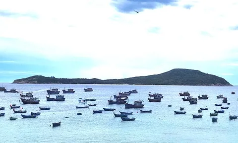 Việt Nam lọt tốp 7 thị trường hàng đầu thế giới ở 1 lĩnh vực bền vững: "Mỏ vàng" âm thầm kiếm tỷ USD