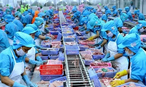 Doanh nghiệp Việt chuẩn bị sẵn sàng để thích ứng với thuế quan của Mỹ