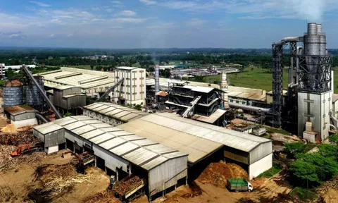 Lỗi đánh máy, một công ty gỗ đặt mục tiêu doanh thu cả triệu tỷ đồng, gấp 5 lần Hòa Phát, 3 lần Vingroup