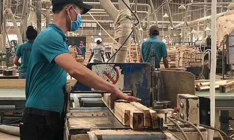 Sự thật vụ một doanh nghiệp gỗ đặt mục tiêu doanh thu gần 1 triệu tỉ đồng