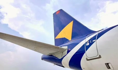 Vietravel Airlines hủy loạt chuyến bay do sự cố va chạm với chim