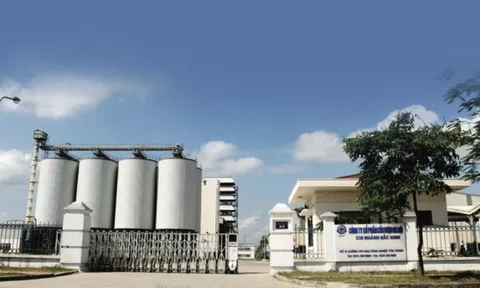 Công ty đầu tiên báo lỗ quý 2/2025