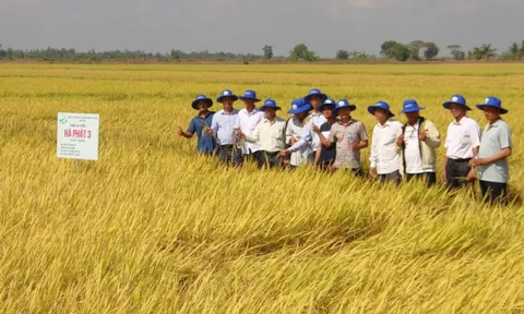 Tây Ninh tăng tốc Tổng điều tra nông thôn, nông nghiệp 2025, quyết cán đích trước 30/7