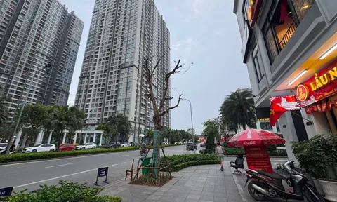 Đâu là tâm điểm tăng giá của thị trường chung cư?