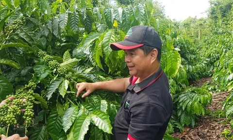 Nestlé Việt Nam thúc đẩy thực hành an toàn vệ sinh lao động trong quản lý rác thải