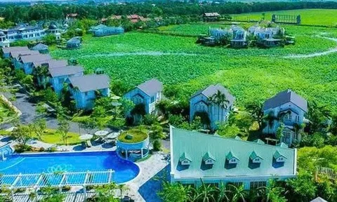 TIG muốn chuyển nhượng công ty con tại Hungary