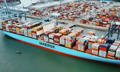Ba cảng biển Việt Nam lọt Top 50 cảng container lớn nhất thế giới