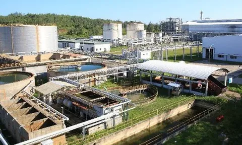 2 tháng nữa, nhà máy 2.200 tỷ đồng tại Quảng Ngãi sẽ được tái khởi động sau 10 năm bỏ hoang