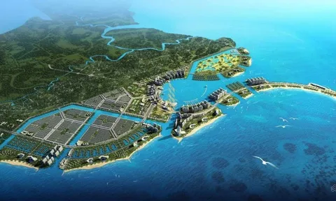 Siêu dự án Cần Giờ của Vingroup đã nộp 21.700 tỷ đồng, chiếm gần 55% ngân sách thu từ đất tại Tp.HCM 8T2025