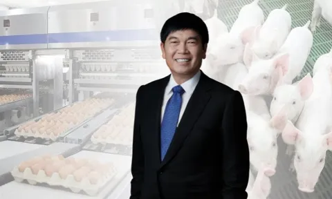Tỷ phú Trần Đình Long có động thái 'lạ' với nông nghiệp Hòa Phát sau nửa năm báo lãi nghìn tỷ, 'đe dọa' Dabaco và vượt trội so với BAF, HAGL... dù quy mô vốn khiêm tốn