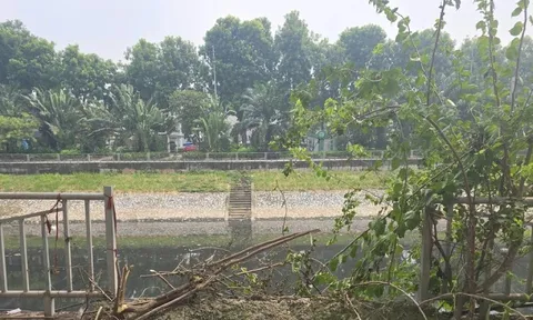 Hà Nội 'thúc' tiến độ hoàn trả lan can, hè phố, kè sông Tô Lịch
