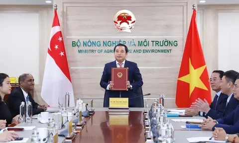 Việt Nam và Singapore vừa ký kết chiến lược, liên quan thị trường ước đạt 250 tỷ USD: "Bùng nổ" năm 2050