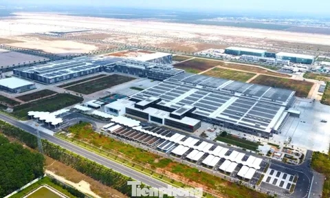 Nhà máy tỷ USD đầu tiên tại TPHCM sử dụng 100% năng lượng tái tạo