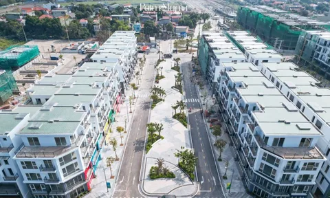 Sức hút bất động sản dồn về Palm Manor sau minh bạch pháp lý
