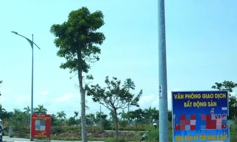 Sau yêu cầu chấn chỉnh, thao túng giá, Đà Nẵng công bố 9 công ty môi giới BĐS