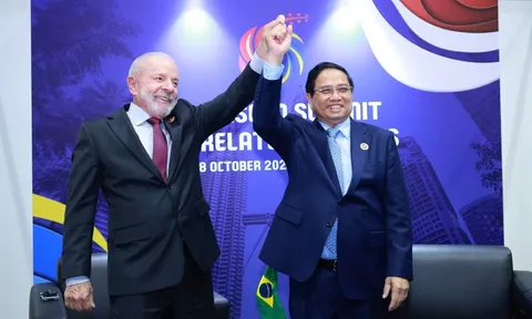 Brasil đang đẩy nhanh việc công nhận Quy chế Kinh tế thị trường của Việt Nam