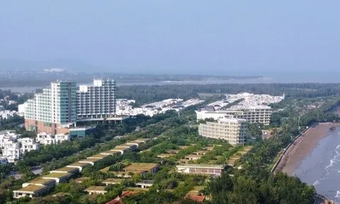 Hàng ngàn doanh nghiệp ở Thanh Hóa nợ bảo hiểm hơn 500 tỉ đồng