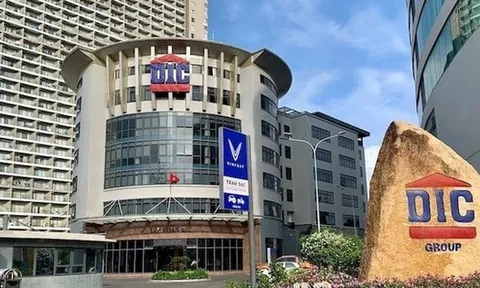 DIC Corp muốn thoái bớt vốn tại Dicera Holdings