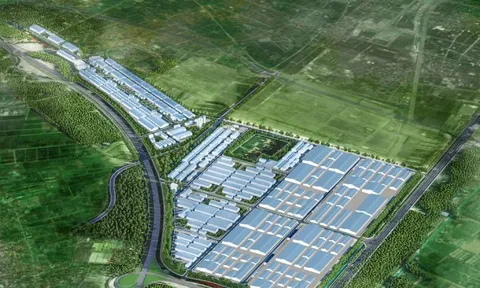 Hòa Phát đầu tư khu công nghiệp quy mô 235ha tại Hưng Yên