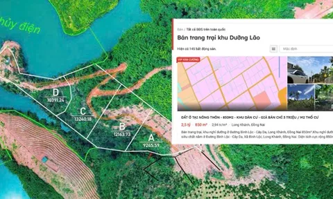 Rục rịch săn đất làm khu dưỡng lão