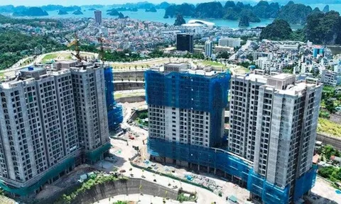 Tin vui cho hàng nghìn người dân tại Quảng Ninh