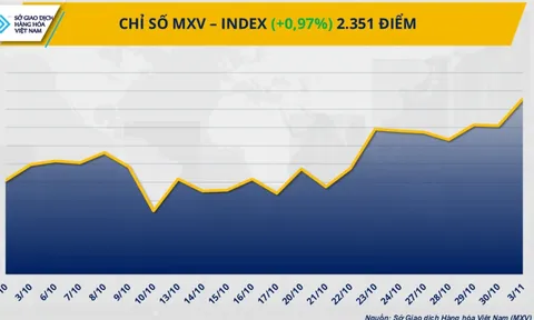 THỊ TRƯỜNG HÀNG HÓA: Cà phê dẫn dắt đà tăng, MXV-Index về đỉnh 8 tháng