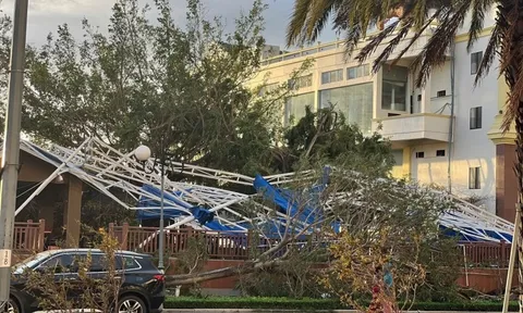 Bão số 13 tàn phá Gia Lai, nông trường chuối của Bầu Đức ra sao?