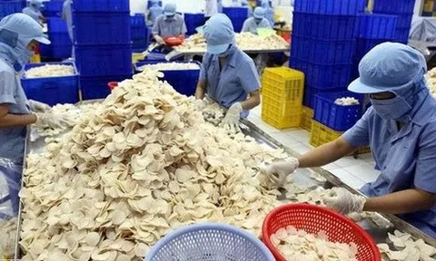 Công ty con của Vĩnh Hoàn muốn huy động gần 465 tỷ đồng để làm gì?