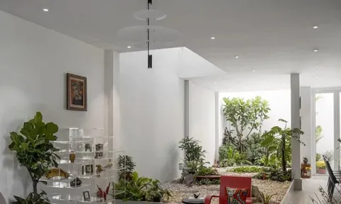 Nhà 3 tầng như villa nghỉ dưỡng giữa phố