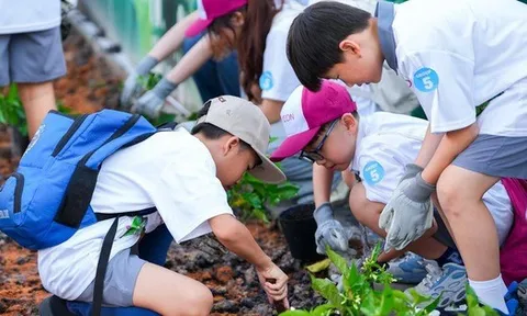 AEON nỗ lực phát triển bền vững tại Việt Nam