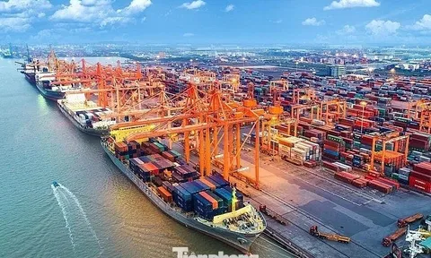 Việt Nam có tiềm năng lớn phát triển cảng xanh, thông minh