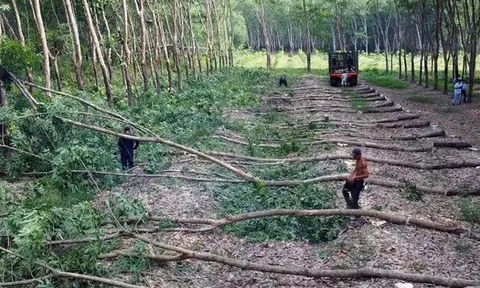 Đồng Nai: Phê bình UBND xã Đồng Tâm, Tân Lợi, Nghĩa Trung