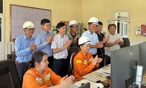 Đóng điện đường dây 220kV Đô Lương – Nam Cấm