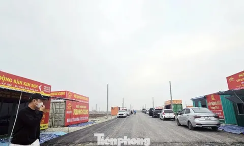 Đấu giá đất vùng quê: Chưa lên sàn 'cò đất' đổ về gây náo loạn