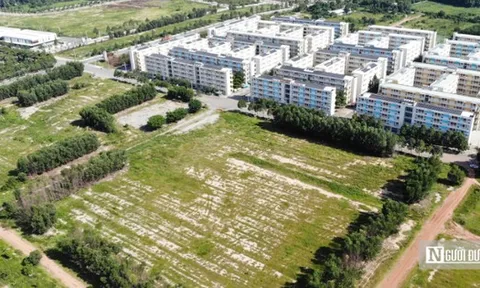 TP.HCM xây dựng cơ chế hỗ trợ thực hiện dự án nhà ở xã hội sau sáp nhập