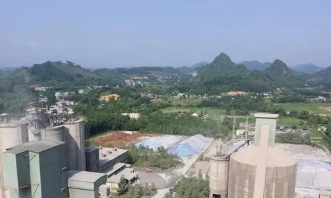 Có dấu hiệu tội phạm, nguy cơ thiệt hại hơn 1.000 tỷ tại Nhà máy Xi măng Quang Sơn