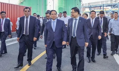 Cụm nhà máy điện dự kiến cung cấp 9 tỷ kWh/năm, có giá thành đầu tư thấp nhất Việt Nam chính thức khánh thành