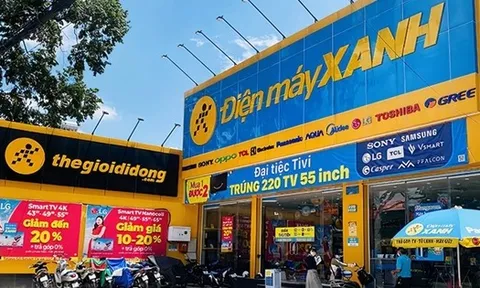 Điện Máy Xanh trước IPO: Đứng ở đâu trên thị trường điện máy?