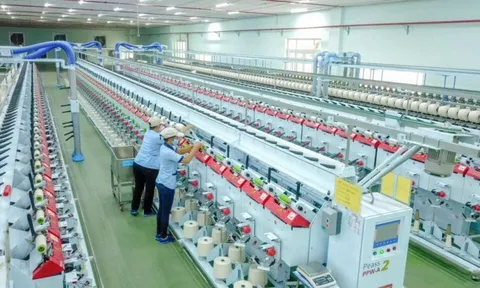 Tập đoàn Dệt may Việt Nam (VGT) ước tính doanh thu năm 2025 gần 19.000 tỷ, lợi nhuận đạt 1.355 tỷ đồng, cao thứ 2 lịch sử