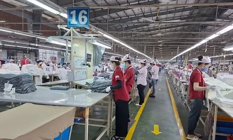 Một doanh nghiệp FDI hơn 23 năm sản xuất kinh doanh tại Việt Nam công bố chấm dứt hoạt động