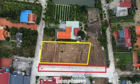 Hải Phòng cho phép chuyển đổi mục đích sử dụng đất trở lại