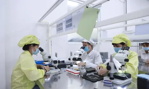 Vì sao Phú Thọ đang hấp dẫn các nhà đầu tư nước ngoài?