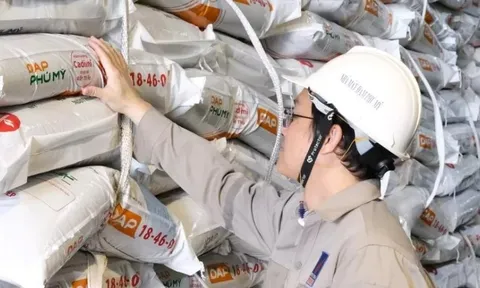 Mỗi nhân viên mang về gần hơn 900 triệu doanh thu/tháng, Đạm Phú Mỹ (DPM) toan tính gì cho năm 2026?