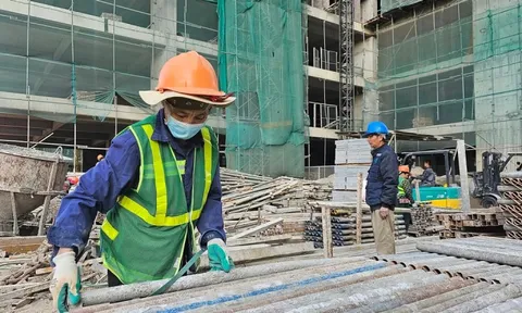 Cần tính đến phương án nhập khẩu nhân công