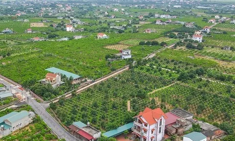 Tháo gỡ vướng mắc các dự án đất đai và triển khai Chương trình mục tiêu quốc gia