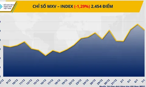 THỊ TRƯỜNG HÀNG HÓA: Giá bạch kim lao dốc, lúa mì ‘nóng’ dần theo vụ mùa Mỹ
