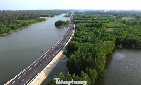 Ngắm cung đường ven biển băng qua rừng dương, cồn cát đẹp bậc nhất Quảng Ngãi
