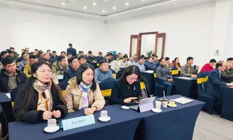 Điện Biên: Đẩy mạnh trợ giúp pháp lý cho người nghèo, người yếu thế