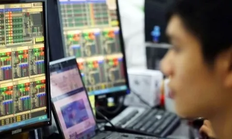 Vì sao phó Tổng giám đốc Công ty cổ phần Sông Đà 2 bị xử phạt?